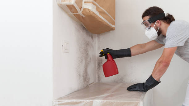 Professional Attic Mold Remediation technician working in Belle Plaine, MN