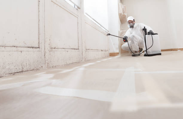 24/7 Emergency Attic Mold Remediation experts in Belle Plaine, MN